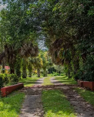 a tree lined dirt road with trees and grass at Linda casa de verano con amplias zonas verdes in San Isidro
