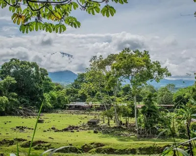 a field with trees and a house in the distance at Linda casa de verano con amplias zonas verdes in San Isidro