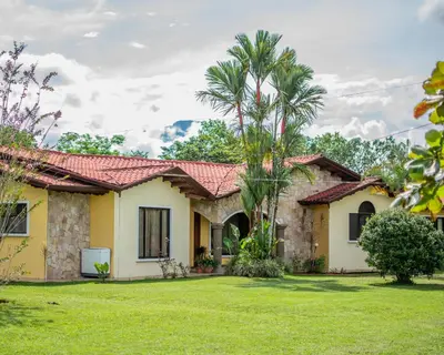 a house with a palm tree in a yard at Linda casa de verano con amplias zonas verdes in San Isidro