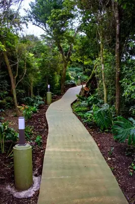 a path in the middle of a park with trees at Sunset Vista Lodge,Monteverde,Costa Rica. in Monteverde Costa Rica