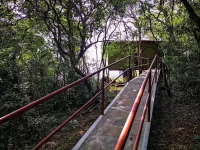 a walkway in the middle of a forest with trees at Sunset Vista Lodge,Monteverde,Costa Rica. in Monteverde Costa Rica
