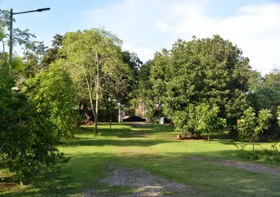 a park with trees and grass with a street light at Casa Kamagu in Fortuna