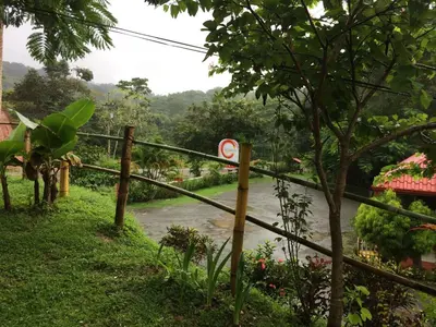 a view of the river from the garden at Hotel Samsara in Uvita