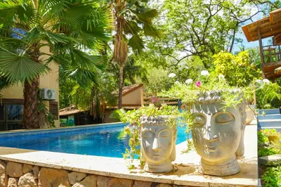 two large vases filled with plants next to a swimming pool at Apartamento Boruca Tamarindo in Tamarindo