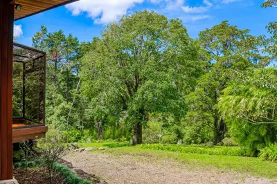 a view of a forest from the porch of a house at Hacienda Milinda in Birrí