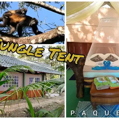 Fully Furnished FAMILY JUNGLE TENT