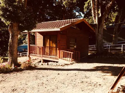a log cabin with a porch and a tree at Cabañas San gerardo in San Gerardo de Dota