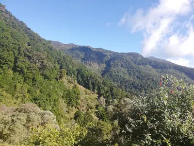 a view of a mountain with trees on it at Cabañas San gerardo in San Gerardo de Dota
