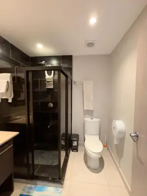 a bathroom with a toilet and a shower at Amaluc zac in Jacó
