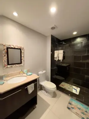 a bathroom with a toilet and a sink and a mirror at Amaluc zac in Jacó