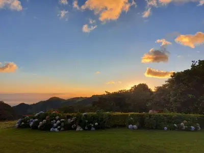 a garden with a bunch of flowers in a field at Campo Azul #2 - Monteverde in Monteverde Costa Rica