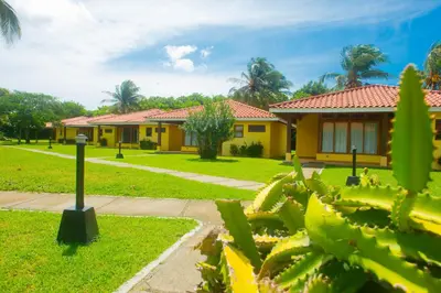 a yellow house with a cactus in front of it at Nandel Beach Resort in La Cruz