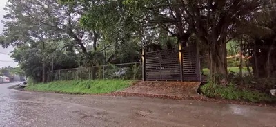 a gate on the side of a road with trees at Armadillo Bungalows, walk to the Beach - Santa Teresa in Santa Teresa Beach