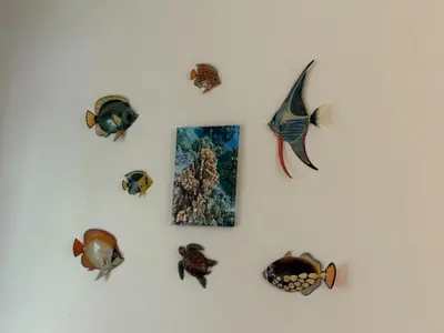 a group of fish on a white wall at Jazmin Del Sol steps away from Playa Potrero !! in Potrero