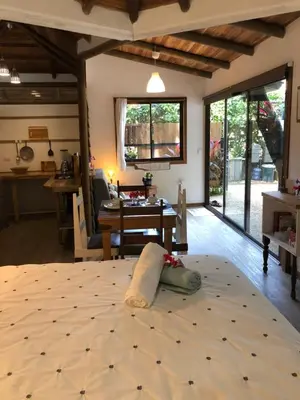 a bedroom with a large bed in a room at Ginger Studio in Santa Teresa Beach