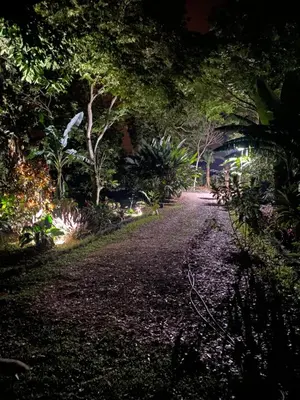 a dirt road at night with trees and lights at Bongalow Villa Sarchi in Sarchí