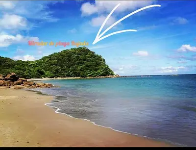 a picture of a beach with a bird in the sky at Nasu Lodge in La Cruz