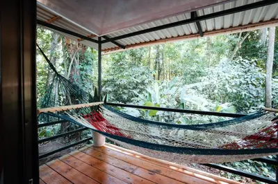a hammock on a porch in a forest at Kinkajoungalows - Amaya Family, Drake Bay, Osa Peninsula in San Pedrillo