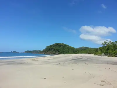 an empty beach with trees in the distance at Gray Beach House in Potrero