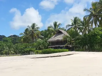 a resort on a beach with palm trees at Gray Beach House in Potrero
