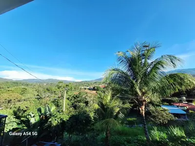 a view of a palm tree from a house at Casa Victoria Alojamiento in San Isidro