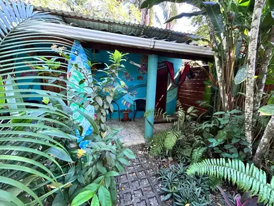 a garden with a building with a bunch of plants at Boutique Rooms River Front at La Junta in Dominical