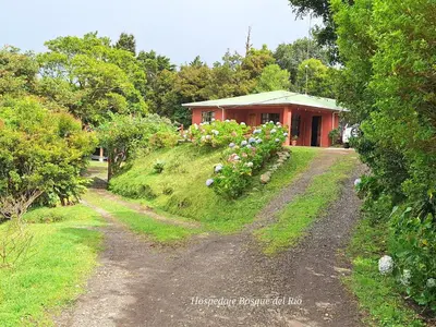 a dirt road in front of a house with flowers at Hospedaje Bosque del Río in Monteverde Costa Rica