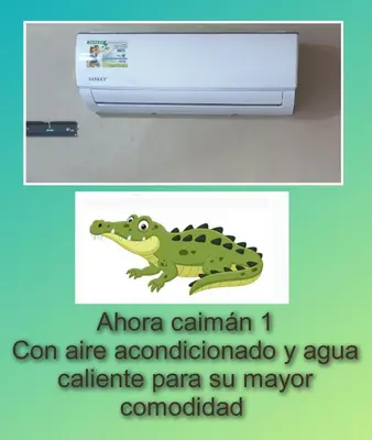 a picture of a crocodile next to a printer at Apartamentos Caimán Tortuguero in Tortuguero