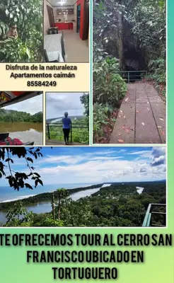 a collage of four pictures of a river at Apartamentos Caimán Tortuguero in Tortuguero