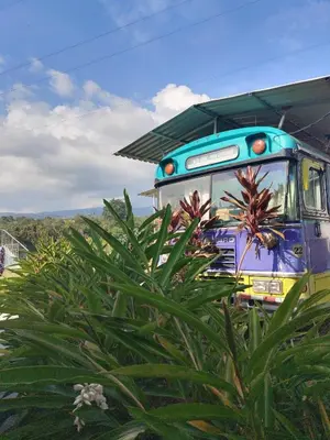 a blue bus is parked next to a bush at Dreamcatcher House Bus Experience 2 in Sarchí