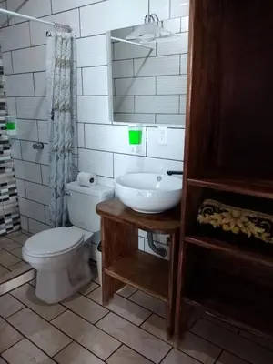 a bathroom with a toilet and a sink at Apartamento Siary 1 in Monteverde Costa Rica