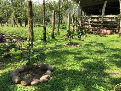 a garden with rocks in the grass next to a cabin at Casita el jardin in Bijagua