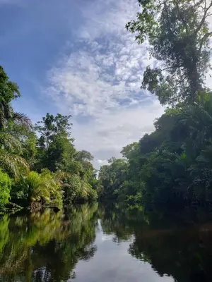 a river with trees on the sides of it at Hotel Casa THIREMA Tortuguero in Tortuguero