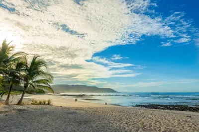 a beach with a palm tree and the ocean at Luxury Beachfront Villa with private pool at Nantipa in Santa Teresa Beach
