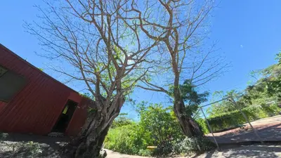 Gallery image of Vista Mundo Retreat Center in San Ramón