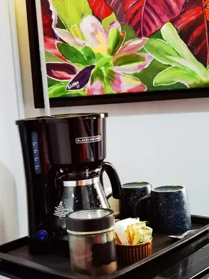 a coffee maker sitting on a counter next to cups at Sunrise House in Quepos