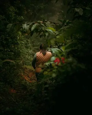 a woman walking down a path in a forest at Escapadita al Bosque in San Isidro
