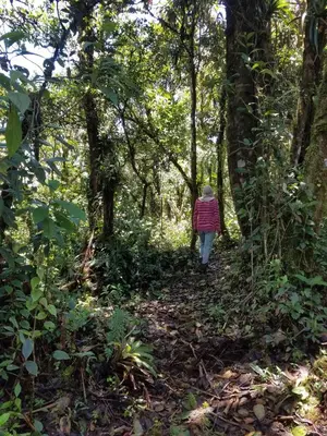 a woman walking down a trail in the woods at Escapadita al Bosque in San Isidro