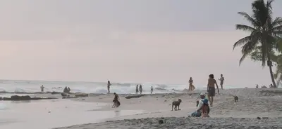 a group of people and dogs on a beach at Villa Carlotta in Respingue