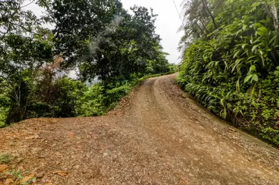 a dirt road in the middle of a forest at Lost Pools Bungalow in Uvita