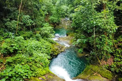 a stream in the middle of a forest with trees at Lost Pools Bungalow in Uvita