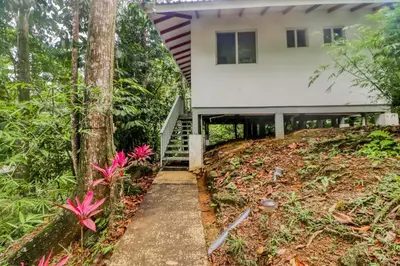 a house in the woods with a pathway leading to it at Lost Pools Bungalow in Uvita