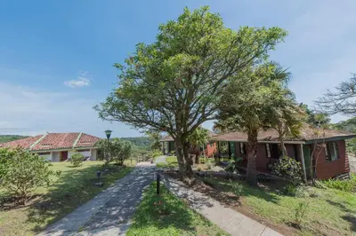 a house with a tree and a road at Hotel Montaña Monteverde in Monteverde Costa Rica