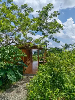 a wooden house in the middle of a forest at Onca Tours & Treehouses in San Rafael