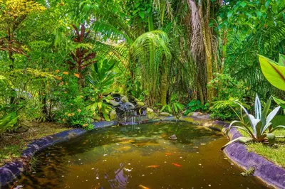 a koi pond in a tropical garden with trees at Hotel FAREMITI Uvita in Uvita