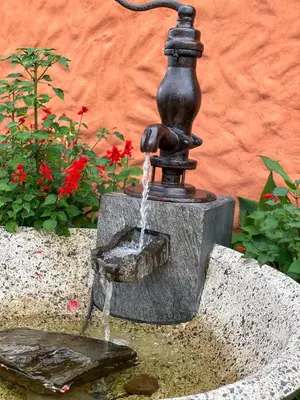 a water fountain in a garden with red flowers at Casa maar -Treetop tent in Río Cuarto