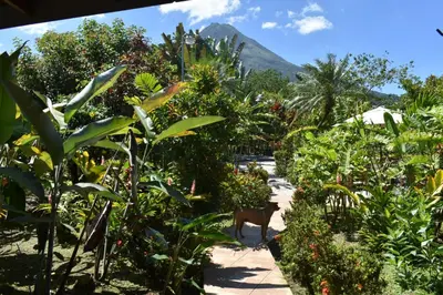 a garden with a mountain in the background at Hotel Roca Negra Del Arenal in Fortuna