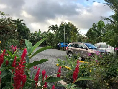 a parking lot with cars parked next to a bunch of flowers at Hotel Roca Negra Del Arenal in Fortuna