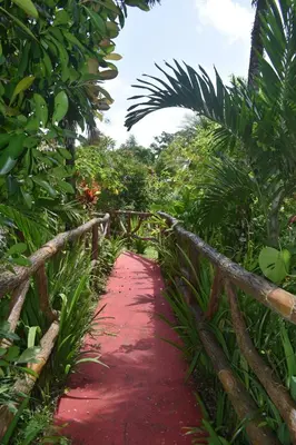 a red path in the middle of a forest at Hotel Roca Negra Del Arenal in Fortuna