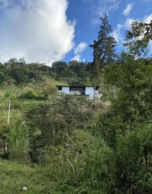 a house on a hill with a bench in a field at Arte de Plumas birding lodge in Cartago